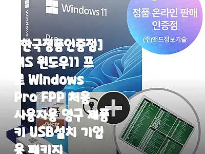 MS 윈도우11 프로 Windows  관련 이미지